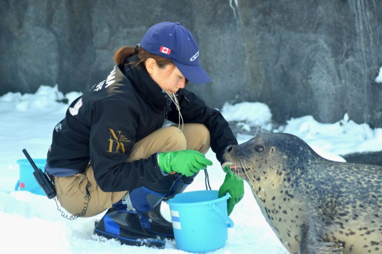 La liste complète des métiers — zoologiste étudiant le comportement animal